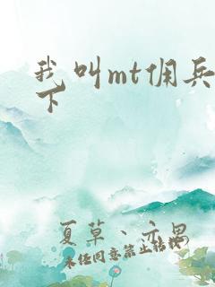 我叫mt佣兵天下