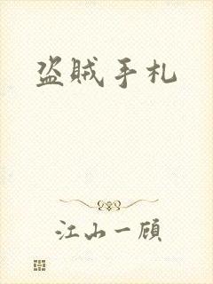 盗贼手札