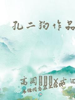 孔二狗作品