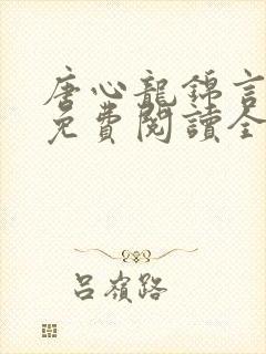 唐心龙锦言小说免费阅读全文