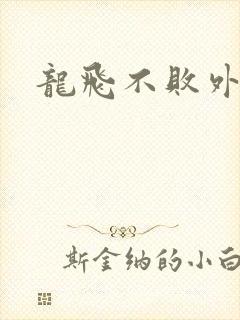 龙飞不败外传