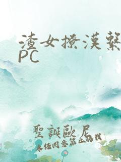 渣女撩汉系统NPC