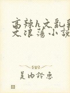 高辣h文乱乳h文浪荡小说txt