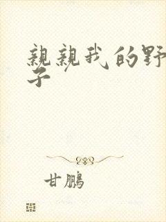 亲亲我的野猪王子