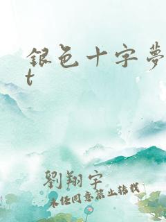 银色十字梦txt