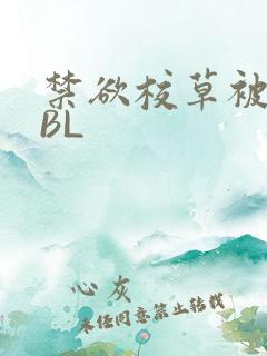 禁欲校草被C哭BL