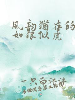 风韵犹存的美妇如狼似虎