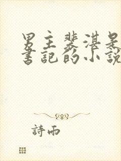 男主裴湛是省委书记的小说