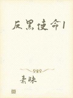 反黑使命1