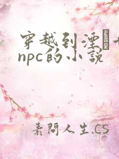 穿越到湮婸世界npc的小说