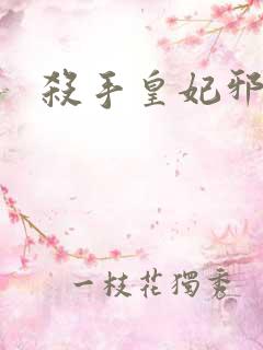 杀手皇妃邪魅帝