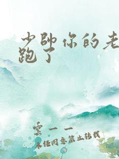 少帅你的老婆又跑了