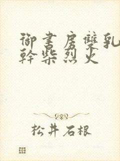 御书房双乳晃动干柴烈火