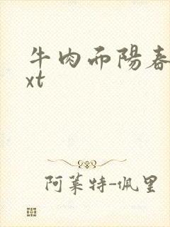牛肉面阳春面txt