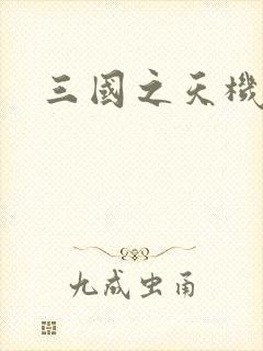 三国之天机军师