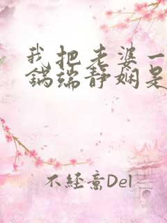 我把老婆一家一锅端静娴是什么书