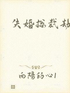 失婚总裁劫前妻