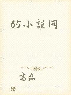 65小说网