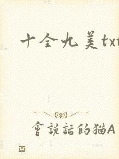 十全九美txt