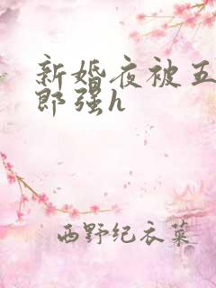 新婚夜被五个伴郎强h