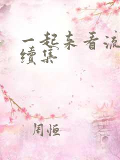 一起来看流星雨续集