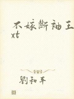 不嫁断袖王爷txt