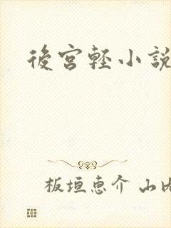 后宫轻小说