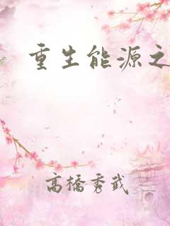 重生能源之王