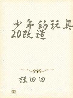 少年的玩具1一20改造