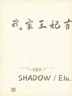 我家王妃有点野