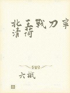 北王战刀宁北苏清荷