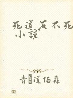死道友不死贫道 小说