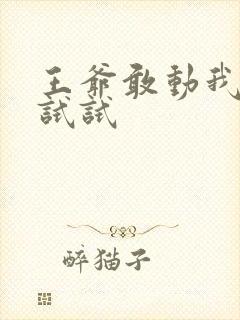 王爷敢动我妈咪试试