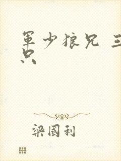军少狼兄 三两只