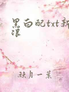 黑白配txt新浪