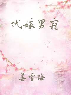 代嫁男宠