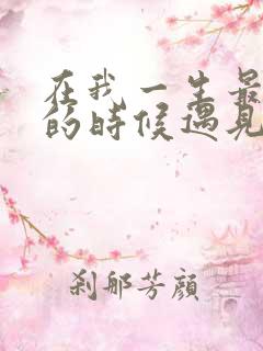 在我一生最猥琐的时候遇见你