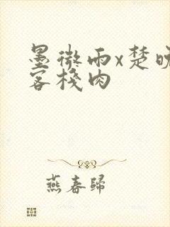 墨微雨x楚晚宁客栈肉