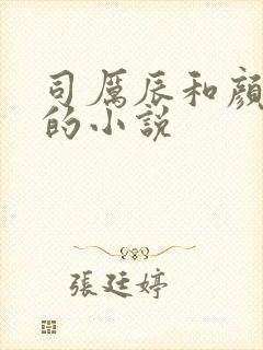 司厉辰和颜辞兮的小说