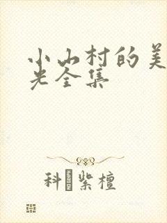 小山村的美好时光全集