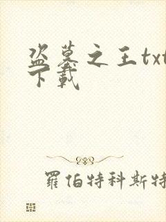 盗墓之王txt下载