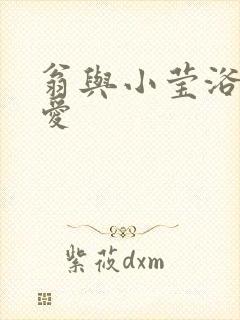 翁与小莹浴室欢爱