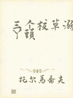 三个校草溺爱拽丫头