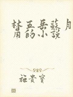 林五岳苏月灵主角的小说