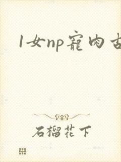 1女np宠肉古