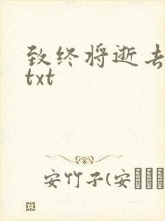 致终将逝去青春txt