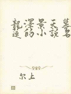 龙泽景天慕容青莲的小说名字