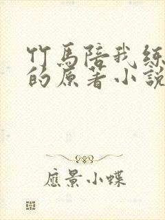 竹马陪我练技术的原著小说