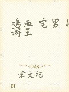 鸡血 宅男 网游王