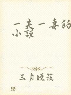 一夫一妻的玄幻小说
